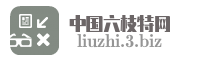 中国六枝特网