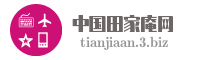 中国田家庵网