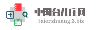 中国台儿庄网