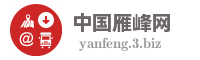中国雁峰网