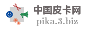 中国皮卡网