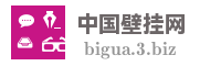 中国壁挂网
