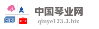 中国琴业网