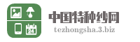 中国特种纱网
