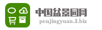 中国盆景园网