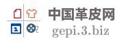 中国革皮网