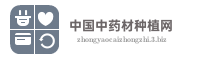 中国中药材种植网