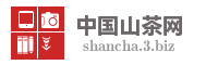 中国山茶网