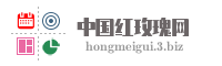 中国红玫瑰网