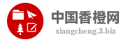 中国香橙网