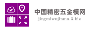 中国精密五金模网