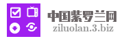 中国紫罗兰网