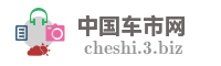 中国车市网