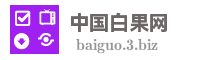 中国白果网