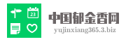 中国郁金香网
