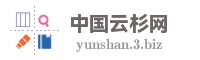 中国云杉网