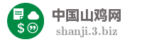 中国山鸡网