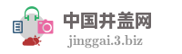 中国井盖网
