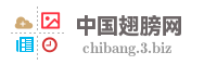 中国翅膀网