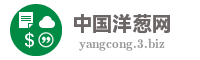 中国洋葱网