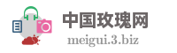 中国玫瑰网