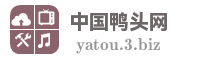 中国鸭头网