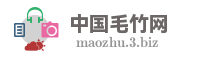 中国毛竹网