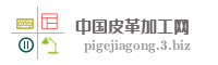 中国皮革加工网