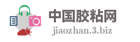 中国胶粘网