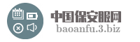 中国保安服网