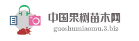 中国果树苗木网