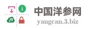中国洋参网