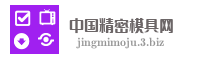 中国精密模具网