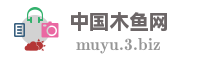 中国木鱼网