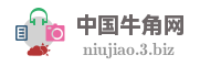 中国牛角网