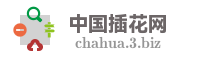 中国插花网