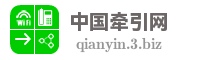 中国牵引网