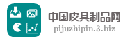 中国皮具制品网