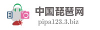 中国琵琶网