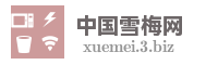 中国雪梅网