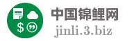 中国锦鲤网