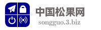 中国松果网