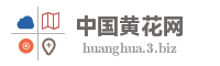 中国黄花网