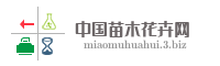 中国苗木花卉网