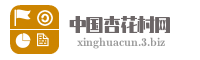 中国杏花村网