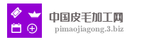 中国皮毛加工网