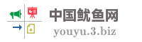 中国鱿鱼网