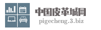 中国皮革城网