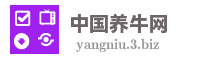 中国养牛网