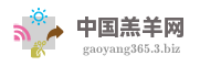 中国羔羊网